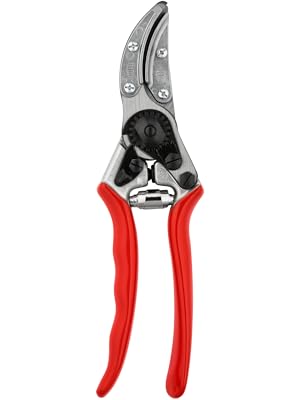 Felco 100