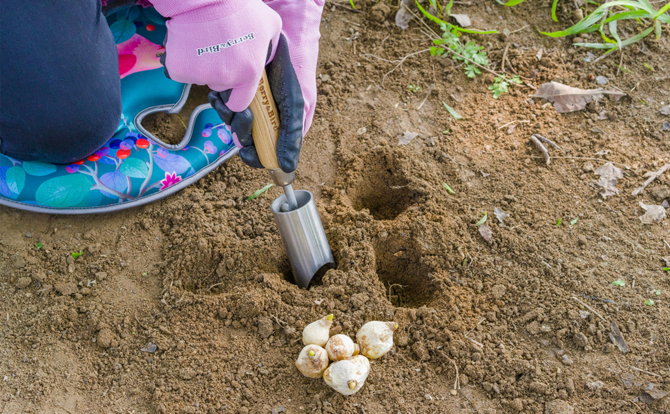 12" Stainless Steel Bulb Planter