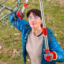 Eine Frau schneidet mit der Astschere einen Ast in einem Baum.