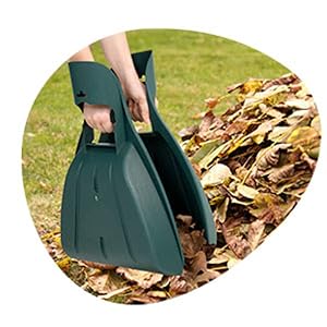 Image of leaves pick up for yard.