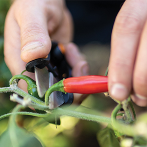 Fiskars Garden Herb Snip, 5 Inch