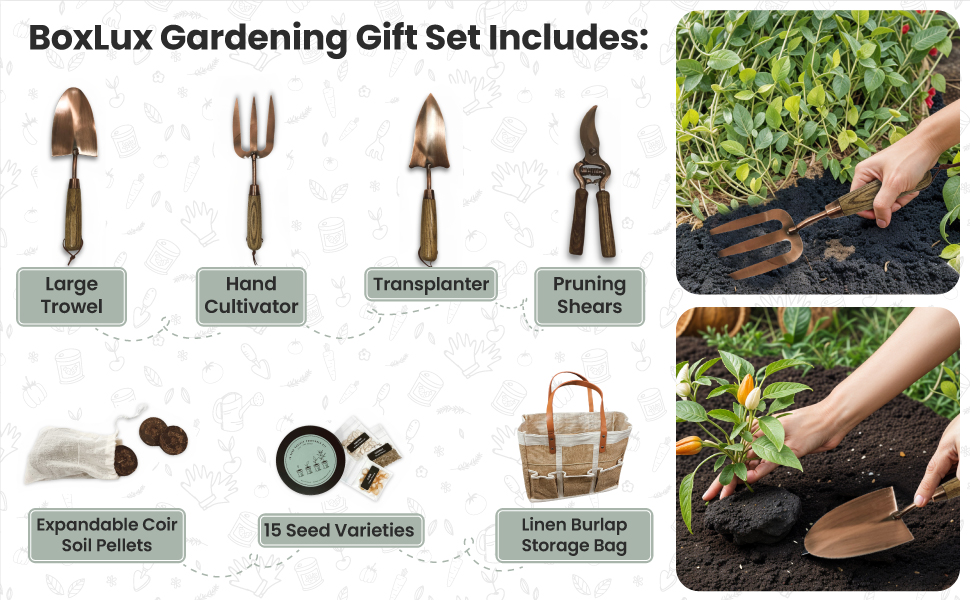 Gift set tools included