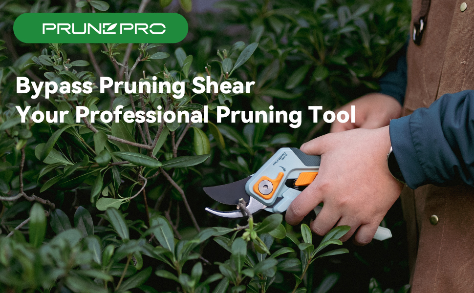 pruning shears for gardening
